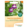 Slyngplanteløvemund Asarina scandens Økologisk 1 <h3>Dusksalvie Salvia viridis Økologisk</h3> Dusksatviens rosa og lilla dækblade i toppen af hvert skud er et smukt blikfang. Den er god til at så sig og trives også i potter. Fantastisk insektføde. Blomstrer igen efter nedskæring . Tip: snegle undgar dusk.salvien. Slyngplanteløvemund