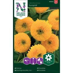 Solsikke 'Sungold'