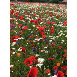 Blomsterblanding Ny blomstermark 1kg