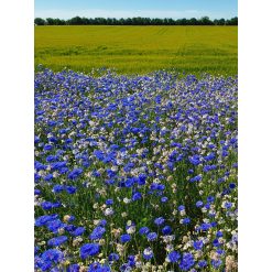 Spiselige Blomster Ny Nordisk 1kg