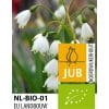 Økologiske Leucojum ‘Bridesmaid’ – BIO – 50 stk. – Str. 10/+ 1 <h3 data-start="112" data-end="196">Økologiske Klokkelilje aestivum Gravetye Giant 50stk.</h3> <h2 data-start="112" data-end="196">Økologisk Klokkelilje <em data-start="137" data-end="173">Leucojum aestivum ‘Gravetye Giant’</em> – 50 stk. str. 10/12</h2> <p data-start="198" data-end="640">Klokkelilje <em data-start="210" data-end="228">‘Gravetye Giant’</em> er en imponerende og yndefuld staudeløg, der blomstrer i maj–juni med elegante, hængende klokkeformede blomster i ren hvid med en lille grøn spids på hvert kronblad. Denne sort er større og mere kraftfuld end den almindelige sommerklokke (<em data-start="468" data-end="487">Leucojum aestivum</em>), med højere stængler og flere blomster pr. stilk. Som økologisk dyrket løg er den et bæredygtigt valg, der pynter i haven og samtidig skåner naturen.</p> Økologiske Leucojum ‘Bridesmaid’ – BIO – 50 stk. – Str. 10/+