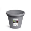 Kartoffelpotte 2 <h3>Solist Læggekartofler 1,5 kg</h3> <p data-start="393" data-end="611">Solist er en meget tidlig kartoffelsort, der er kendt for sin faste konsistens, lyse knolde og fine, milde smag. Sorten egner sig særligt godt til kogning og stegning og er ideel som de første nye kartofler på sæsonen.</p> <p data-start="859" data-end="961">Kartoflerne opbevares bedst køligt, mørkt og tørt efter modtagelse for optimal holdbarhed og kvalitet.</p> Kartoffelpotte