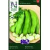 Valskbønne 'Threefold White' 2 <h3>Broccoli 'Mauricius' F1</h3> <p data-start="102" data-end="270">Broccoli <em data-start="111" data-end="127">‘Mauricius’ F1</em> er en stærk og ensartet sort med flotte, tætte hoveder. Velegnet til køkkenhaven og kendt for sin gode smag, høje kvalitet og stabile udbytte.</p> Valskbønne 'Threefold White'