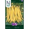 Voksbønne 'Maxidor' 1 <h3>Broccoli 'Mauricius' F1</h3> <p data-start="102" data-end="270">Broccoli <em data-start="111" data-end="127">‘Mauricius’ F1</em> er en stærk og ensartet sort med flotte, tætte hoveder. Velegnet til køkkenhaven og kendt for sin gode smag, høje kvalitet og stabile udbytte.</p> Voksbønne 'Maxidor'