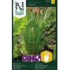 Almindelig purløg 'Dolores' 2 <h3>Drueagurk 'Profi' F1</h3> Drueagurk <em data-start="112" data-end="124">‘Profi’ F1</em> er en yderst produktiv sort med små, ensartede og sprøde agurker. Perfekt til syltning, men også velegnet til frisk brug i køkkenet. Almindelig purløg 'Dolores'