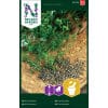 Koriander 2 <h3>Kål, Pak Choi 'Summer Breeze' F1</h3> Pak Choi <em data-start="111" data-end="131">‘Summer Breeze’ F1</em> er en hurtigtvoksende og varmetolerant sort med sprøde stængler og mørkegrønne blade. Perfekt til sommerdyrkning og asiatisk madlavning. Koriander