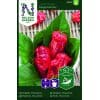 Havanna-chili 'Naga Morich' 1 <h3>Bladbede 'Rhubarb Chard'</h3> Bladbede <em data-start="111" data-end="128">‘Rhubarb Chard’</em> er en dekorativ sort med grønne blade og kraftige, røde stængler. En smuk og velsmagende bladgrøntsag til både køkkenhave og prydhave. Havanna-chili 'Naga Morich'