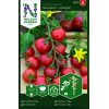 Kirsebærtomat 'Gardener´s Delight' 1 <h3>Udspærret fløjlsblomst 'Boy o Boy'</h3> Udspærret fløjlsblomst <em data-start="125" data-end="138">‘Boy O Boy’</em> er en rigtblomstrende sommerblomst med store, fyldte blomster i varme gul-orange nuancer. Ideel til bede, krukker og som insektvenlig prydplante. Kirsebærtomat 'Gardener´s Delight'