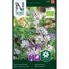 Honningurt 2 <h3>Slyngblomsterkarse 'Out of Africa'</h3> Slyngblomsterkarse <em data-start="121" data-end="138">‘Out of Africa’</em> er en dekorativ og frodig slyngplante med varme blomsterfarver i røde, orange og gule nuancer. Perfekt til hegn, espalier og krukker. Honningurt