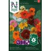 Slyngblomsterkarse 'Out of Africa'