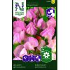 Ærteblomst 'Royal Rose' 1 <h3>Ærteblomst 'Lord Nelson'</h3> Ærteblomst <em data-start="113" data-end="128">‘Lord Nelson’</em> er en elegant og rigtblomstrende sort med smukke, dybt blå blomster. Perfekt til espalier, hegn og som snitblomst med skøn duft. Ærteblomst 'Royal Rose'