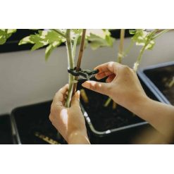 Alternative view of Planteclips